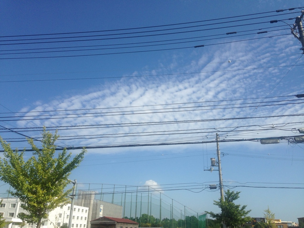 b0127002_16194035.jpg