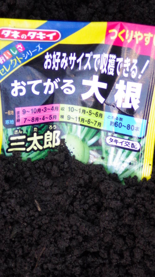 c0300035_15533039.jpg