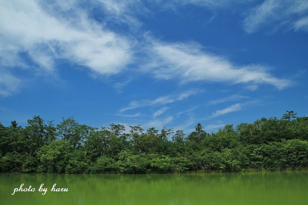 f0297537_22410176.jpg