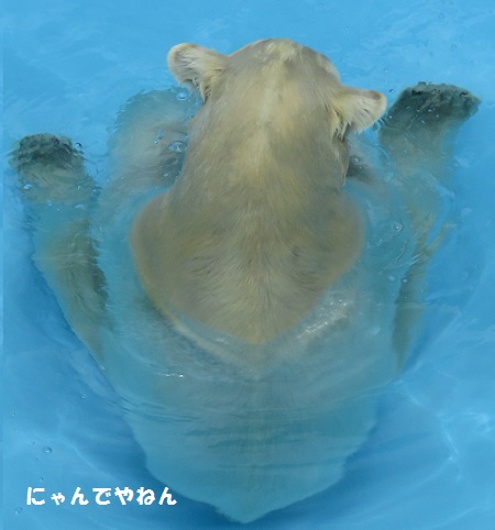 f0002743_17574288.jpg