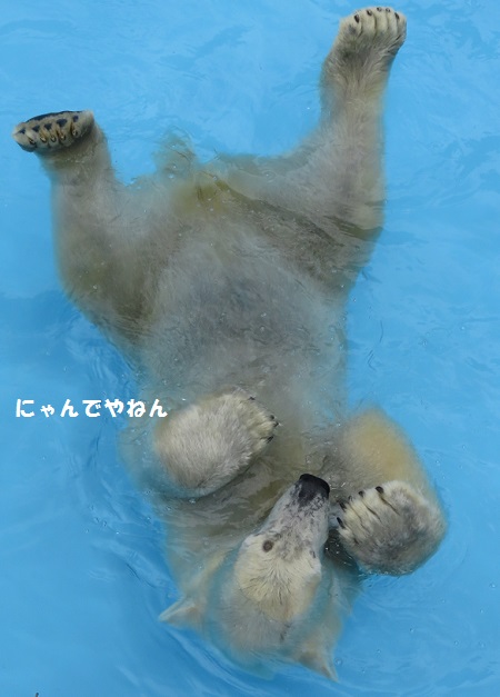 f0002743_17584141.jpg