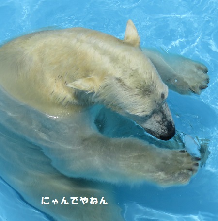 f0002743_18431100.jpg