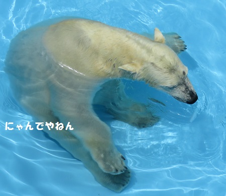 f0002743_1855950.jpg