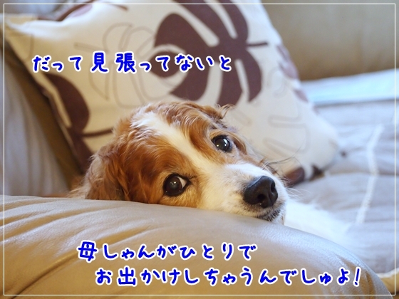 d0013149_00031590.jpg