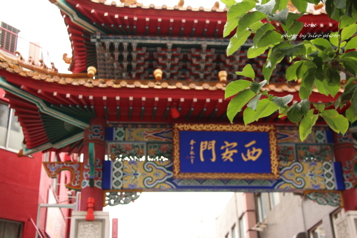 b0328557_19141541.jpg