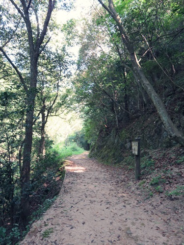 e0264374_12203584.jpg