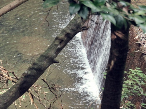 e0264374_12204253.jpg