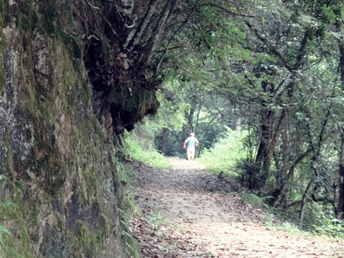 e0264374_12211703.jpg