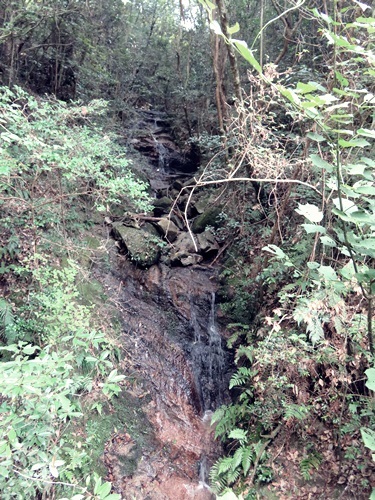 e0264374_12214025.jpg