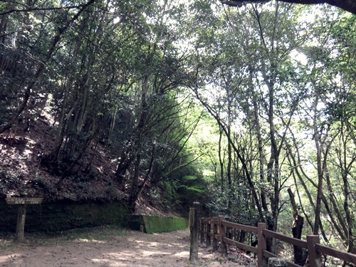 e0264374_12215572.jpg
