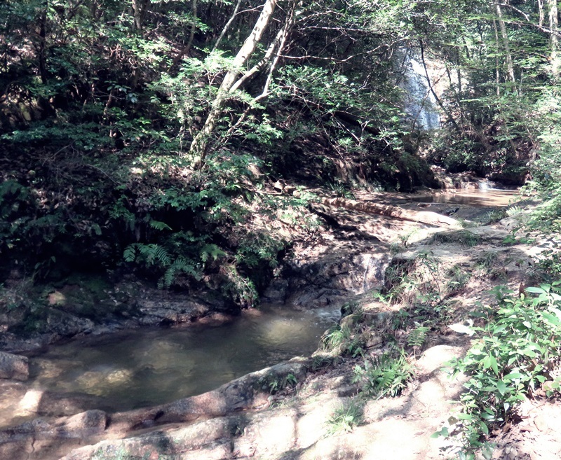 e0264374_12221584.jpg