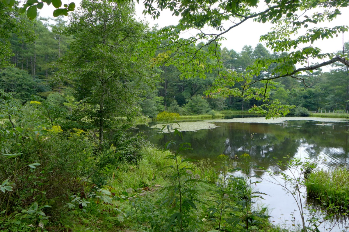 a0127090_2215126.jpg