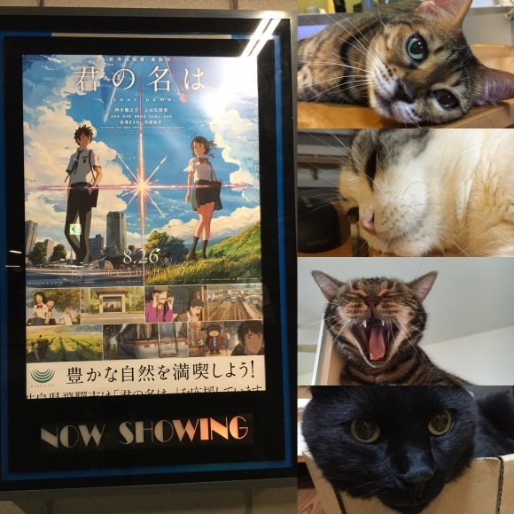 c0011300_21573142.jpeg