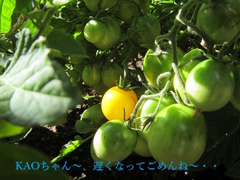 a0310405_03474922.jpg