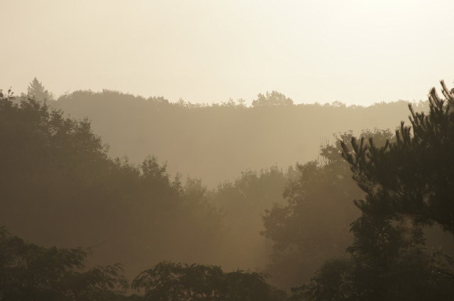 f0327308_06293231.jpg
