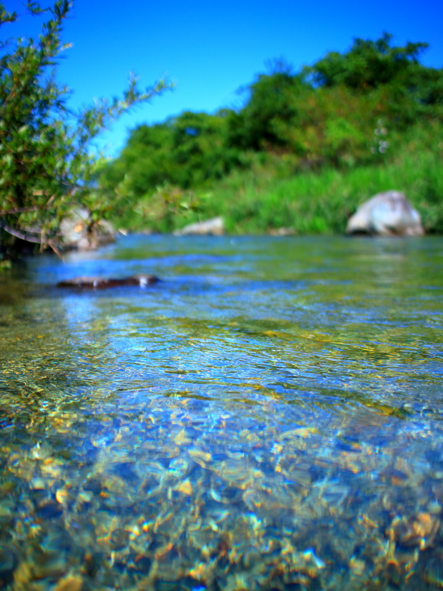 e0009009_22352220.jpg