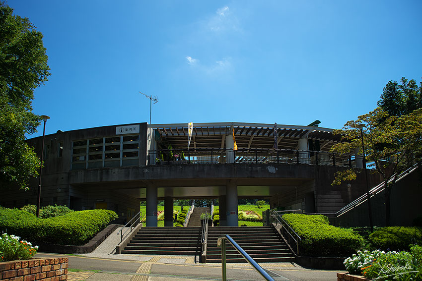 f0344614_172922.jpg