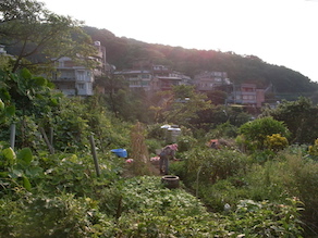 d0106518_1722192.jpg