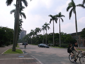 d0106518_18184334.jpg