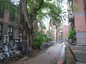 d0106518_18194369.jpg