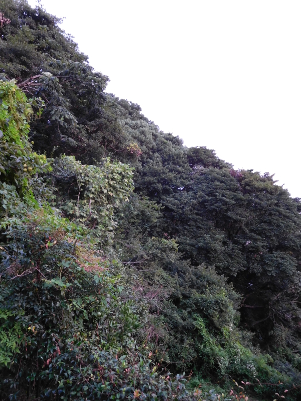 a0125419_06302117.jpg