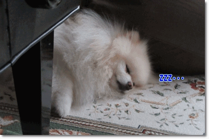 b0167519_1053997.gif