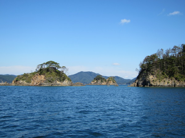 b0219534_1452376.jpg