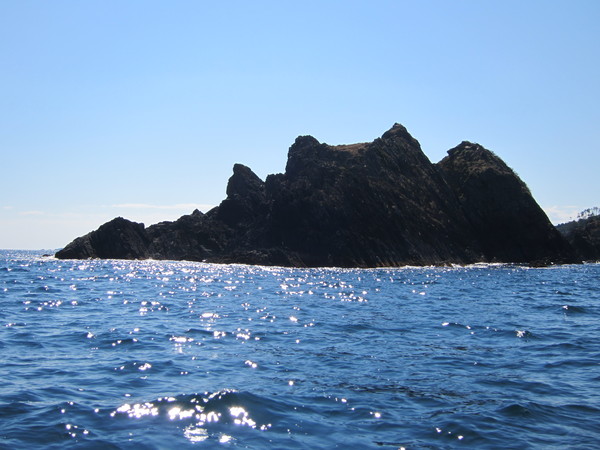 b0219534_14542723.jpg