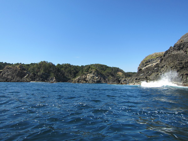b0219534_14544994.jpg