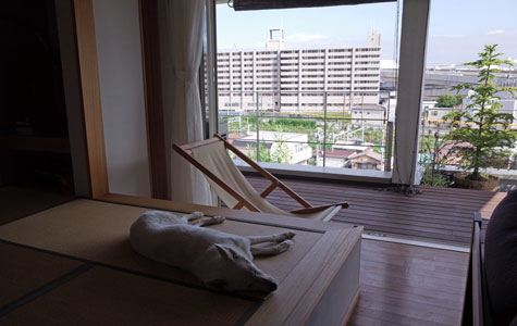 a0117039_20341786.jpg