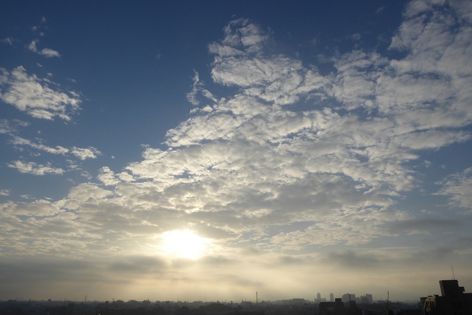 d0288144_06584239.jpg