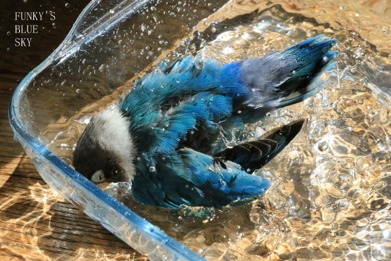 c0145250_10425206.jpg