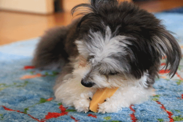 c0145250_11073578.gif