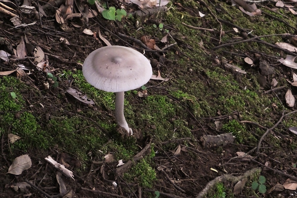 b0236251_1041247.jpg