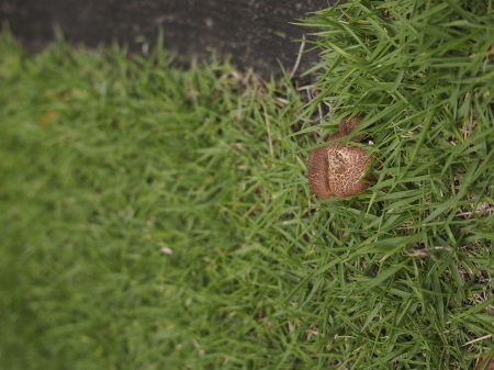 b0246758_20043178.jpg