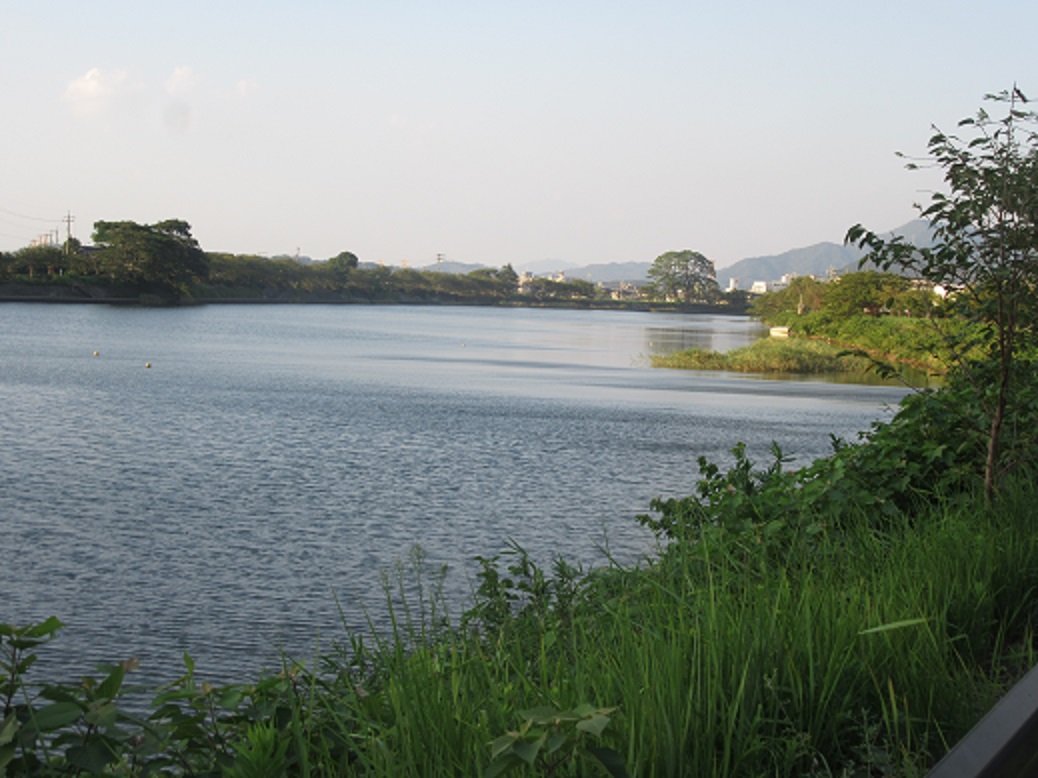 f0113862_15321754.jpg