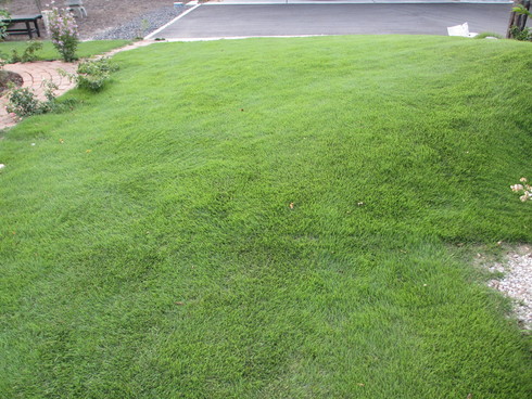 a0243064_9211588.jpg