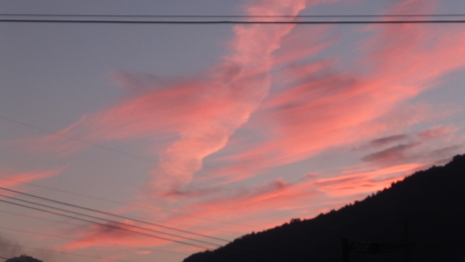 e0151266_11255195.jpg