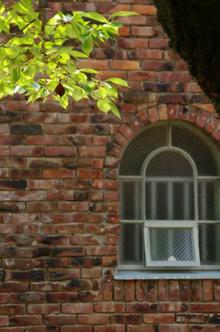e0045768_2123347.jpg