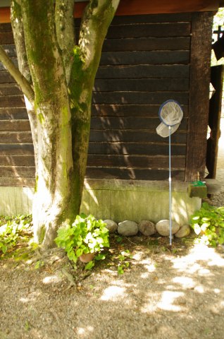 e0045768_2128579.jpg