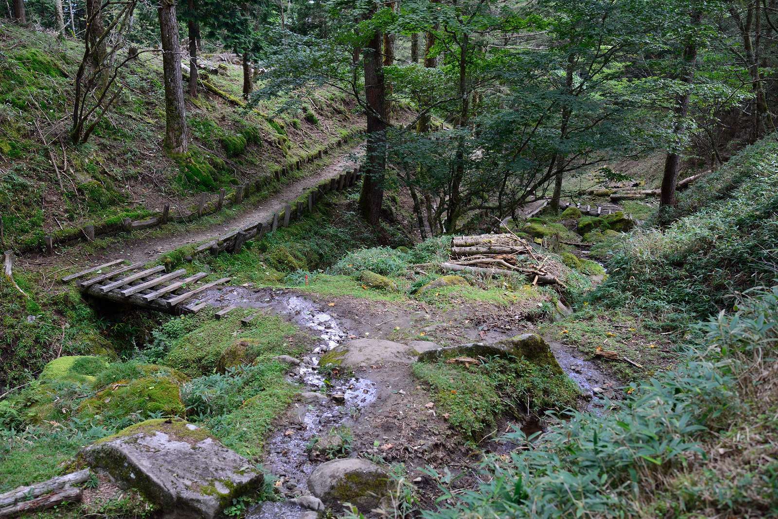 d0328977_18545251.jpg