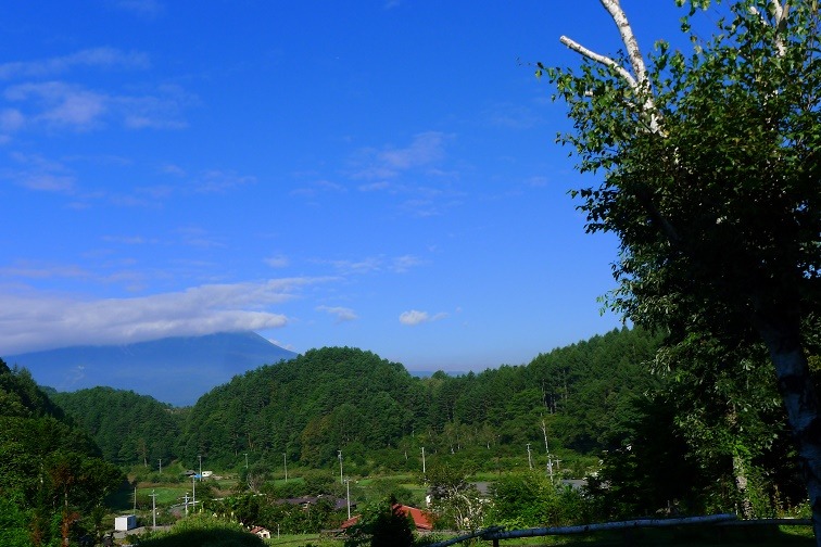 a0130586_8191587.jpg