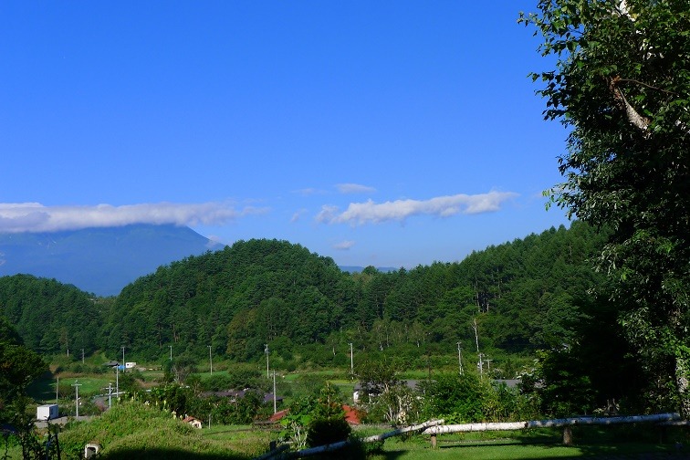 a0130586_820075.jpg