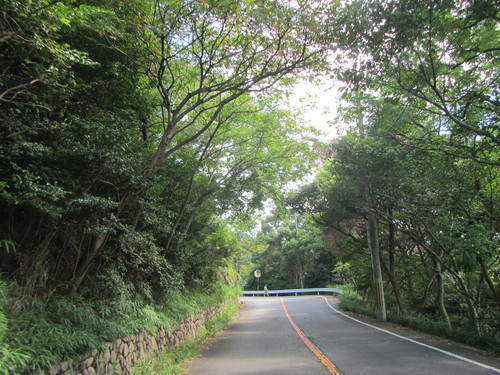 a0251786_1805661.jpg