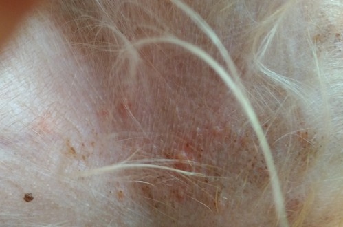 e0123587_20515337.jpg