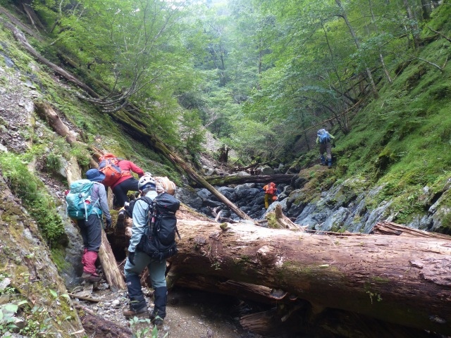 f0357487_21462695.jpg