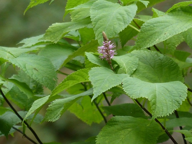 f0357487_2158549.jpg