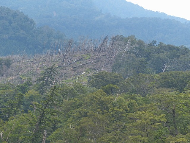 f0357487_22331839.jpg