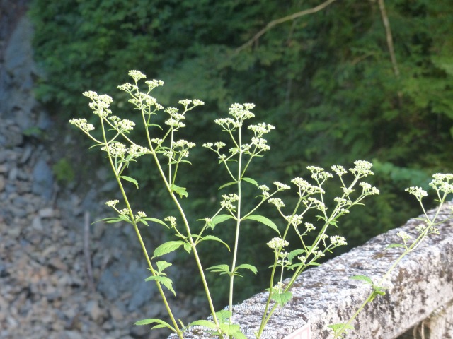 f0357487_2258148.jpg