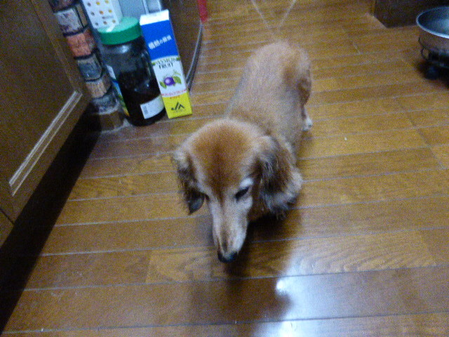 f0363998_20375539.jpg